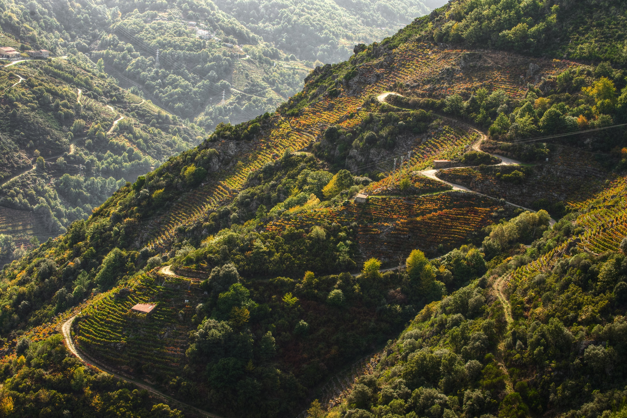 Ribeira Sacra