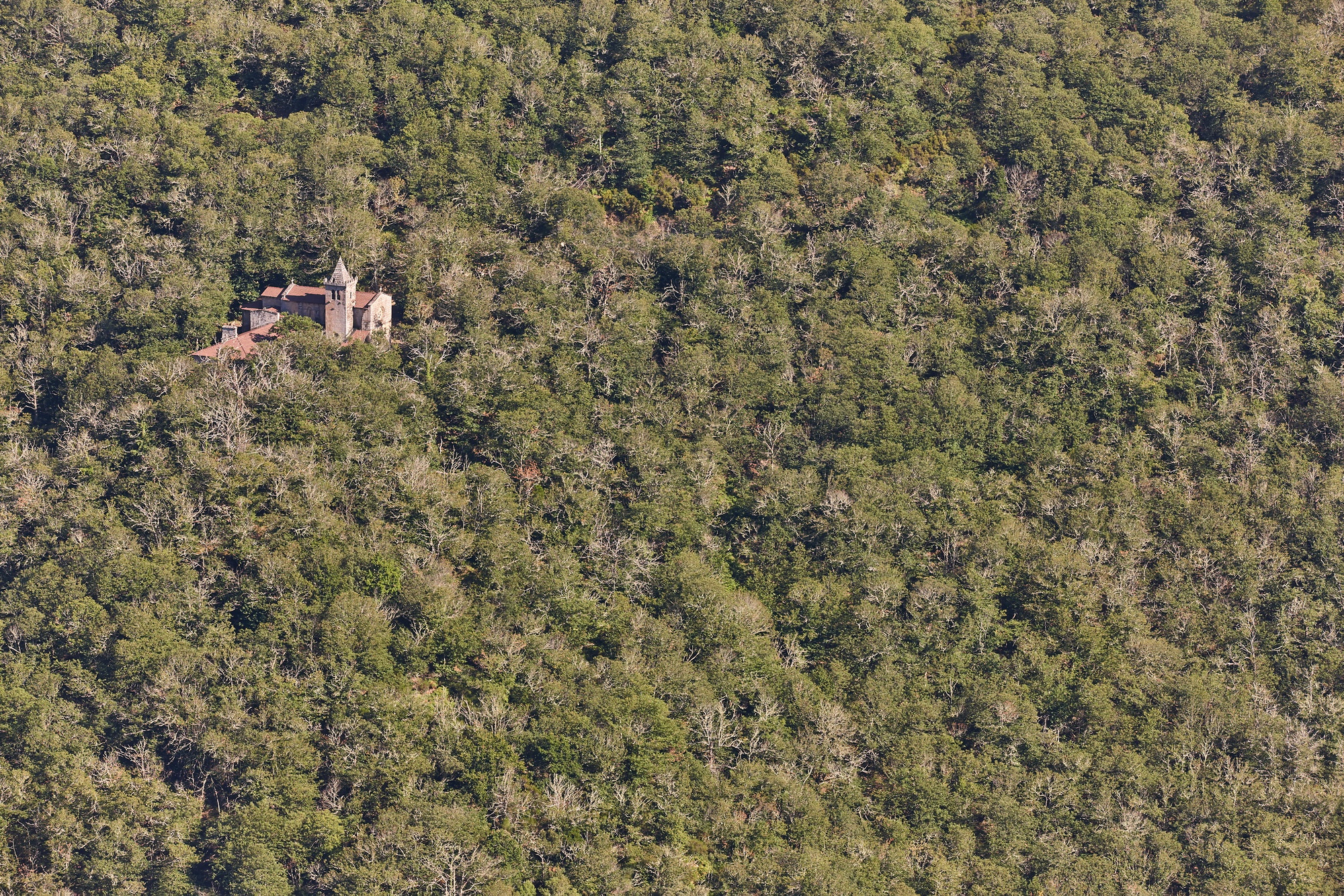Monasterio románico de Santa Cristina. Ribeira sacra. España